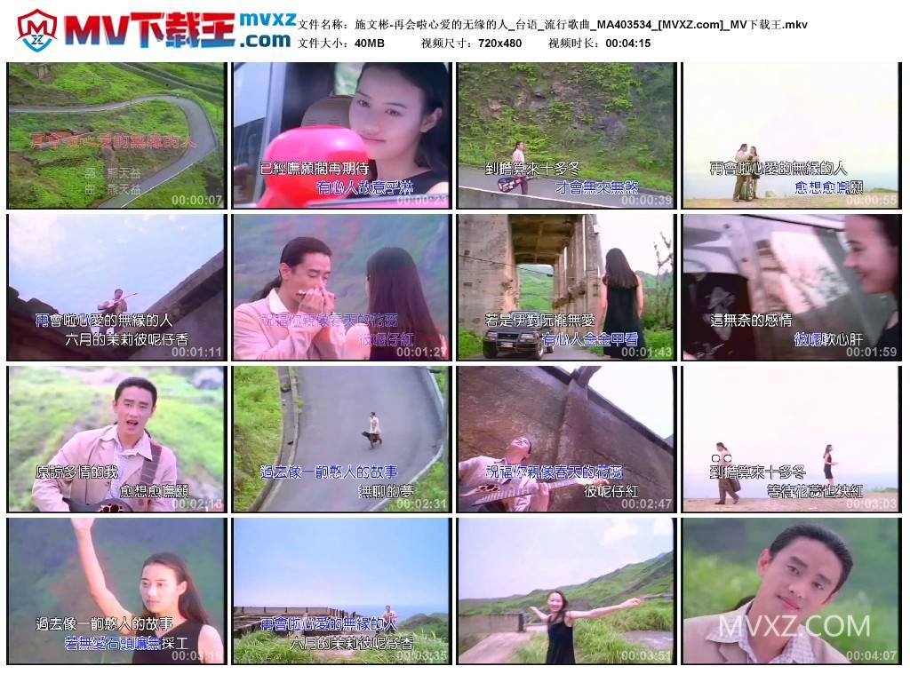 施文彬-再会啦心爱的无缘的人_台语_流行歌曲_MA403534
